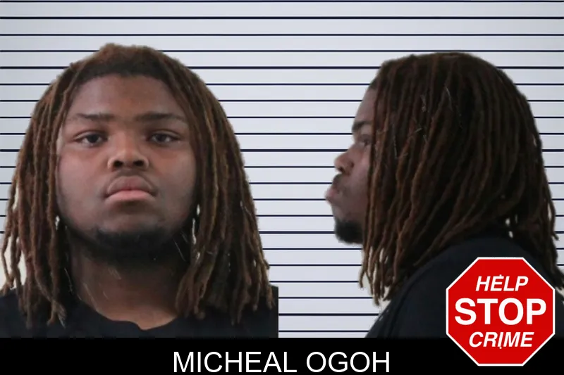 Micheal Ogoh mugshot
