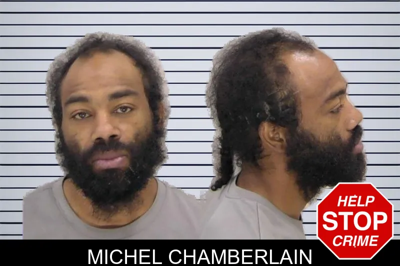 Michel Chamberlain mugshot