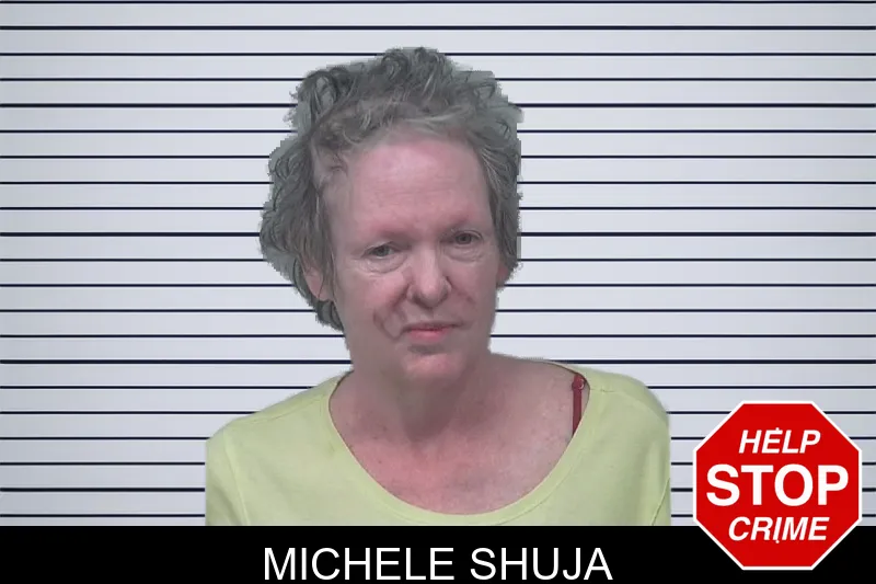 Michele Shuja mugshot – Gwinnett County , Georgia Michele Shuja mugshot