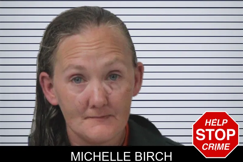 Michelle Birch mugshot – Mcintosh County , Georgia Michelle Birch mugshot