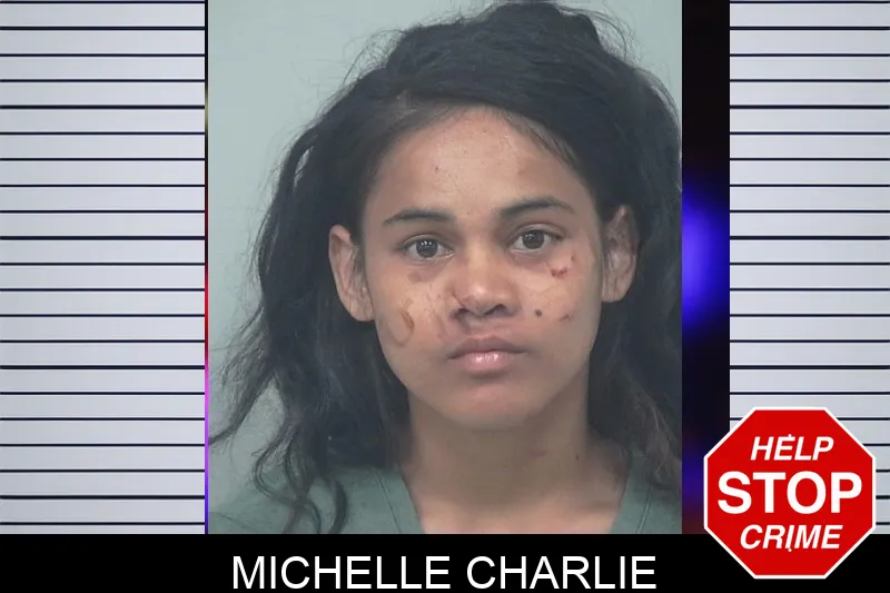 Michelle Charlie mugshot – Gwinnett County , Georgia Michelle Charlie mugshot