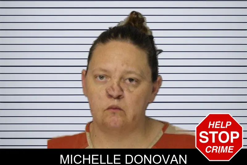 Michelle Donovan mugshot – Hall County , Georgia Michelle Donovan mugshot
