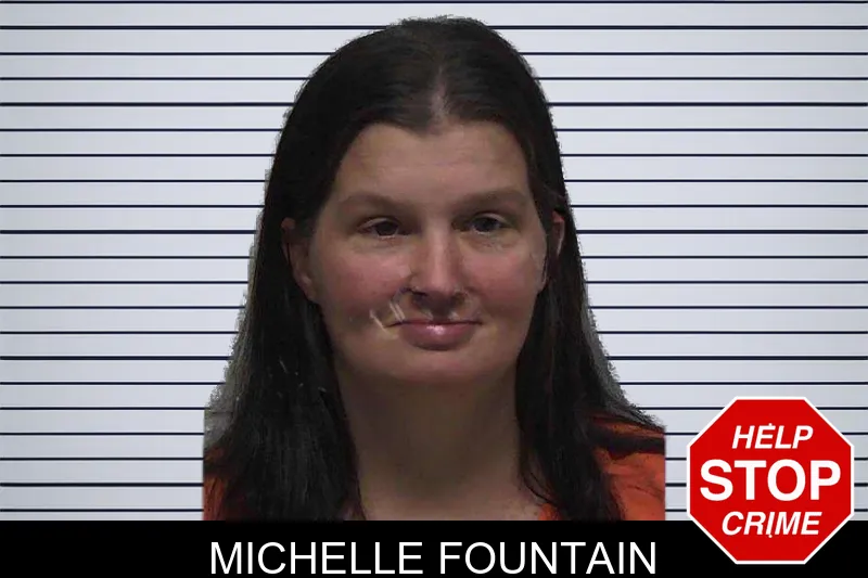 Michelle Fountain mugshot – Laurens County , Georgia Michelle Fountain mugshot