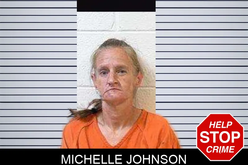 Michelle Johnson mugshot