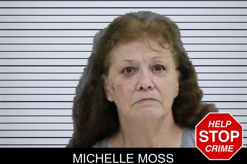 Michelle Moss mugshot – Rabun County , Georgia Michelle Moss mugshot