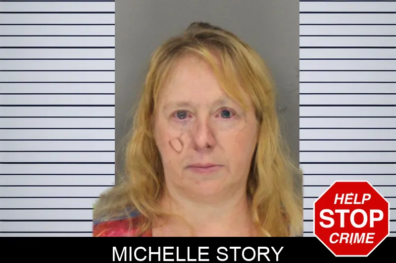 Michelle Story mugshot – Cobb County , Georgia Michelle Story mugshot
