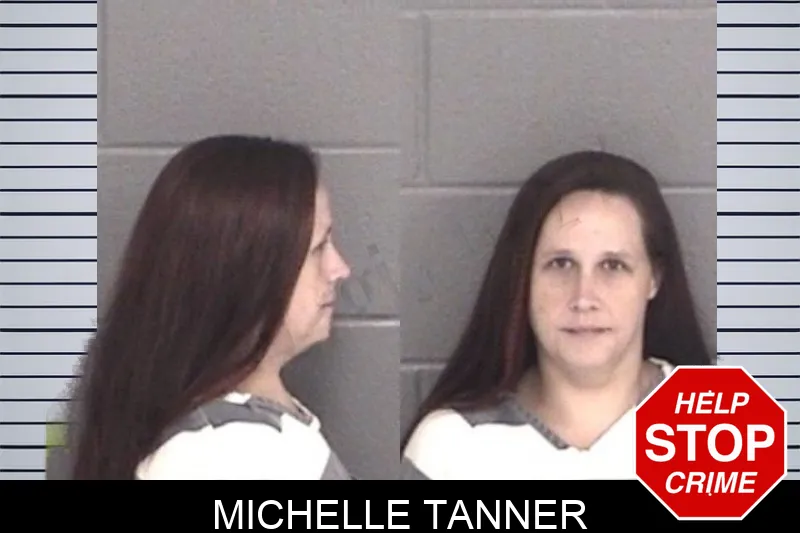 Michelle Tanner mugshot – Barrow County , Georgia Michelle Tanner mugshot