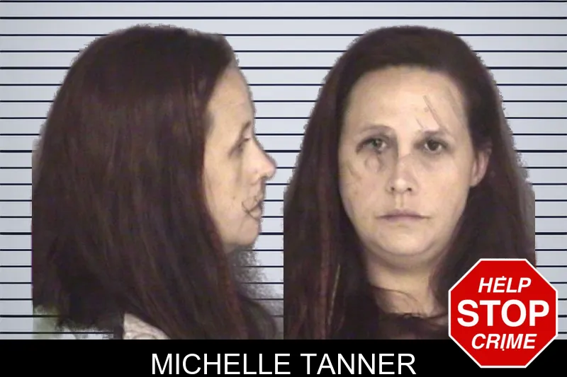 Michelle Tanner mugshot