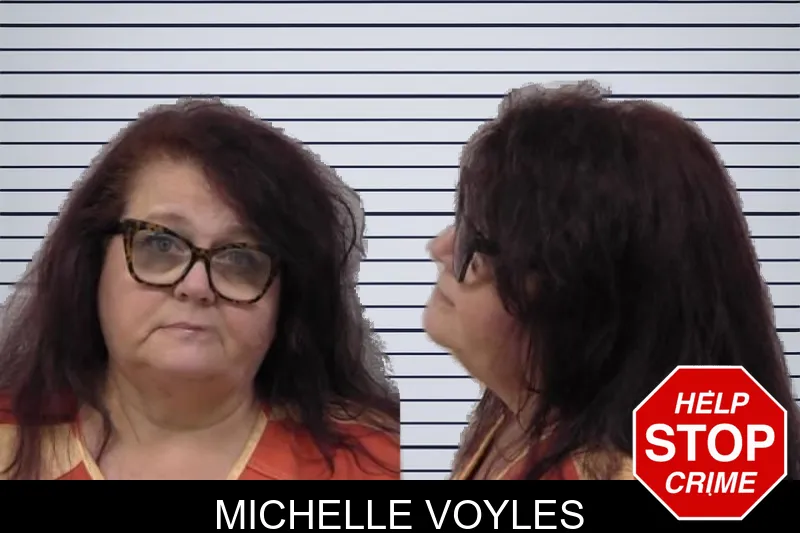 Michelle Voyles mugshot – Paulding County , Georgia Michelle Voyles mugshot