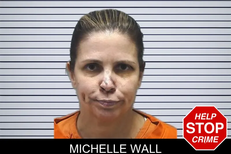 Michelle Wall mugshot – Cherokee County , Georgia Michelle Wall mugshot