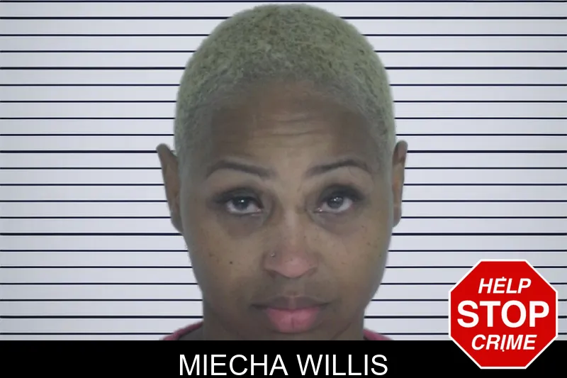 Miecha Willis mugshot – Fayette County , Georgia Miecha Willis mugshot