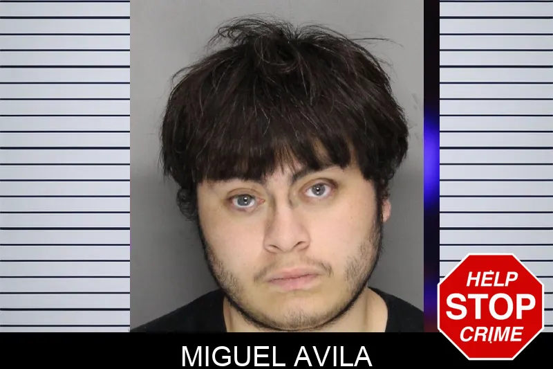 Miguel Avila mugshot – Cobb County , Georgia Miguel Avila mugshot