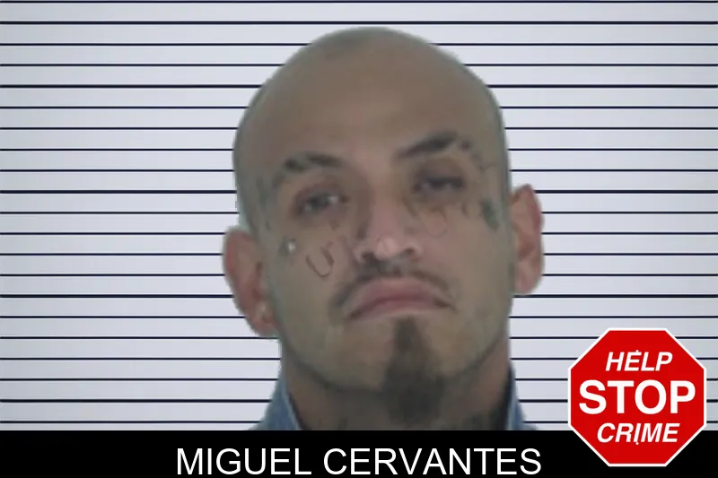 Miguel Cervantes mugshot