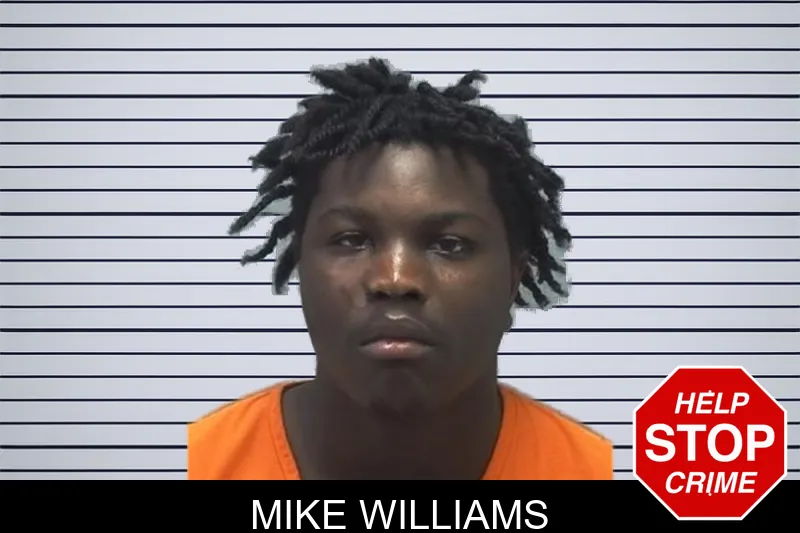 Mike Williams mugshot – Cherokee County , Georgia Mike Williams mugshot