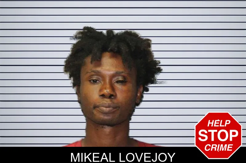 Mikeal Lovejoy mugshot
