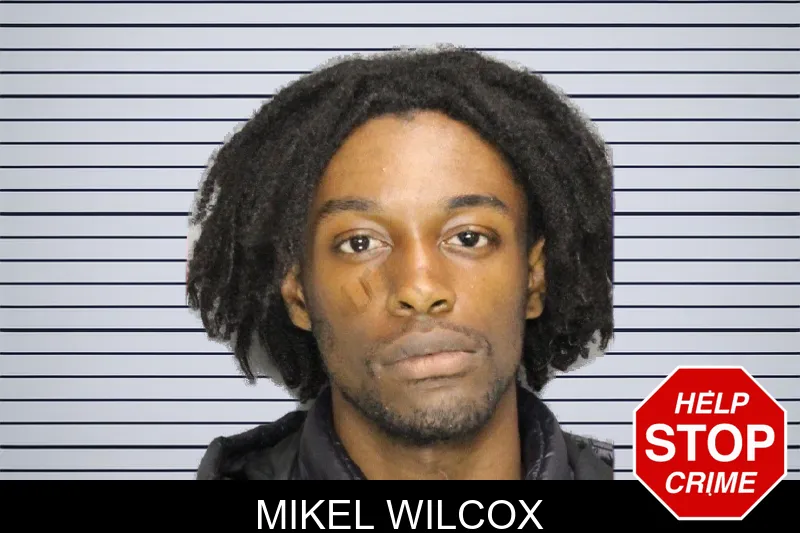 Mikel Wilcox mugshot – Cobb County , Georgia Mikel Wilcox mugshot