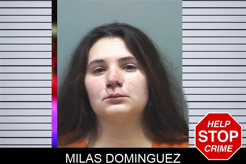 Milas Dominguez mugshot – Cherokee County , Georgia Milas Dominguez mugshot
