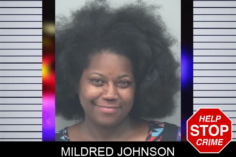 Mildred Johnson mugshot – Gwinnett County , Georgia Mildred Johnson mugshot