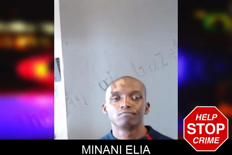 Minani Elia mugshot – DeKalb County , Georgia Minani Elia mugshot