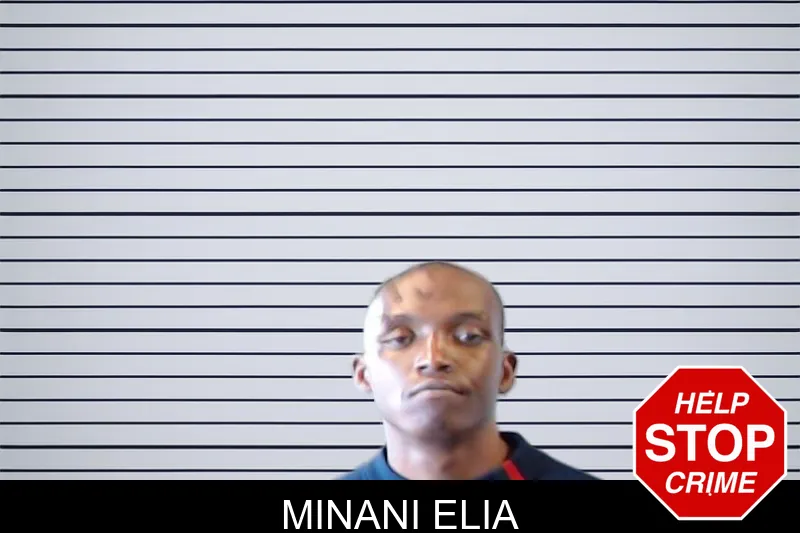 Minani Elia mugshot