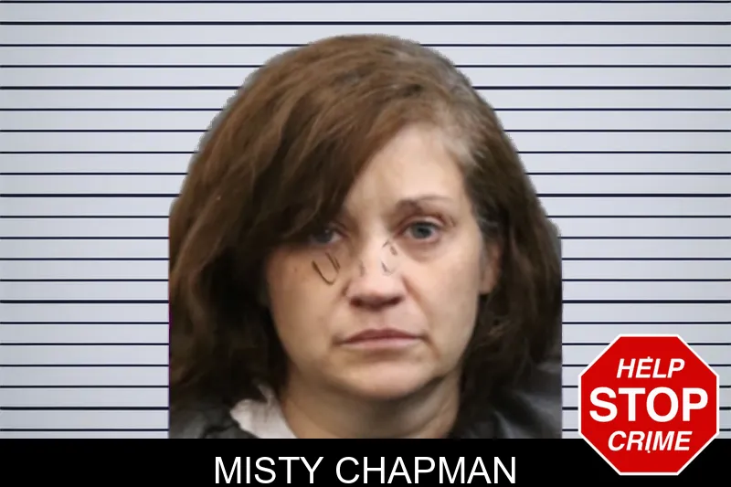Misty Chapman mugshot – Forsyth County , Georgia Misty Chapman mugshot