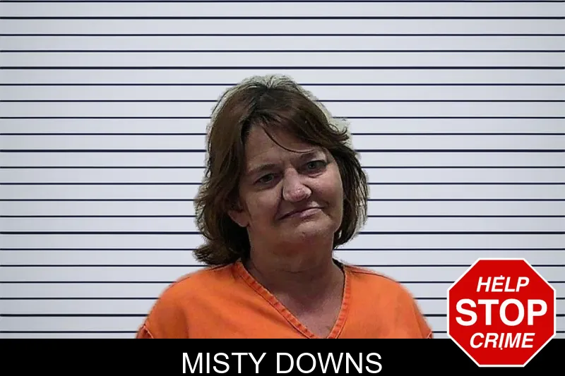 Misty Downs mugshot – Pierce County , Georgia Misty Downs mugshot