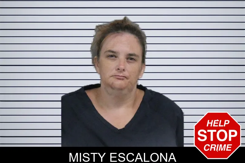 Misty Escalona mugshot – Catoosa County , Georgia Misty Escalona mugshot