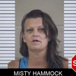 Misty Hammock mugshot – Whitfield County , Georgia Misty Hammock mugshot