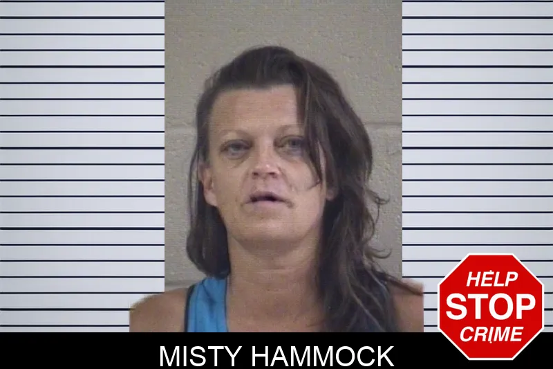 Misty Hammock mugshot