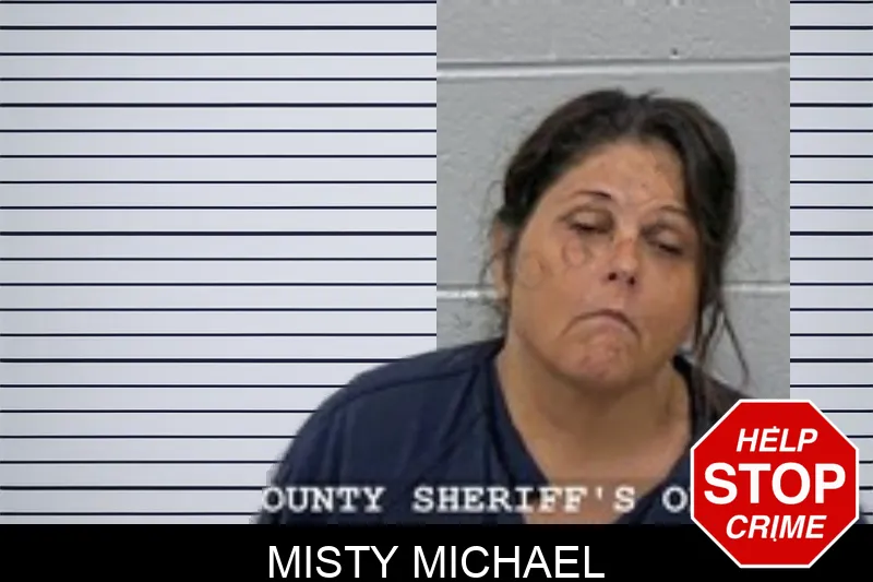 Misty Michael mugshot – Walton County , Georgia Misty Michael mugshot