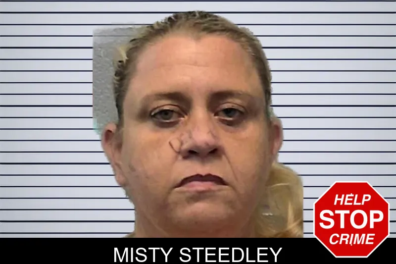 Misty Steedley mugshot – Ware County , Georgia Misty Steedley mugshot