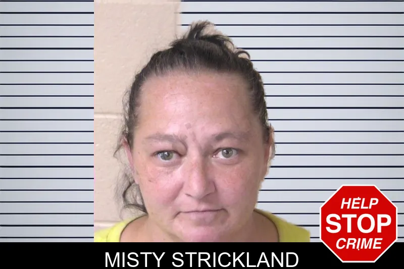 Misty Strickland mugshot – Walker County , Georgia Misty Strickland mugshot