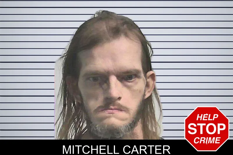Mitchell Carter mugshot