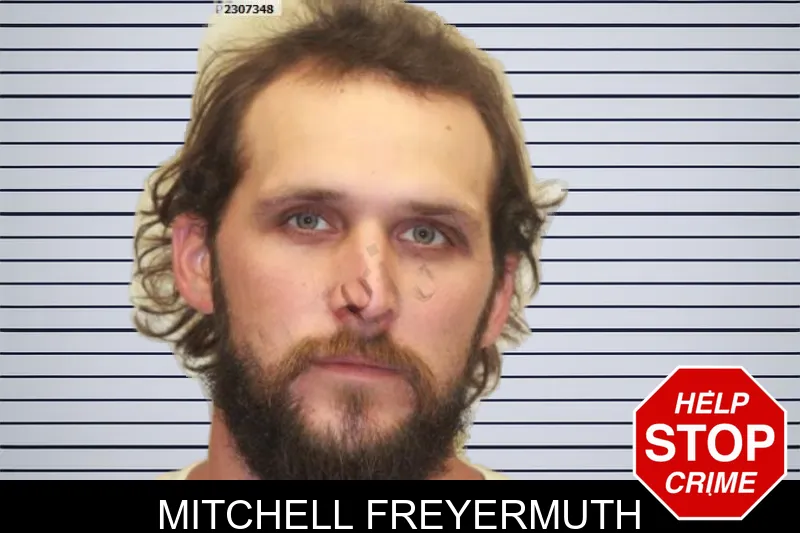 Mitchell Freyermuth mugshot – Chatham County , Georgia Mitchell Freyermuth mugshot