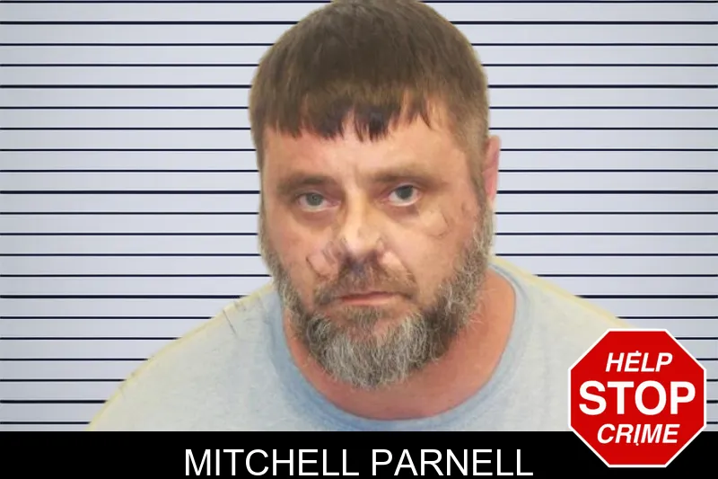 Mitchell Parnell mugshot – Chatham County , Georgia Mitchell Parnell mugshot