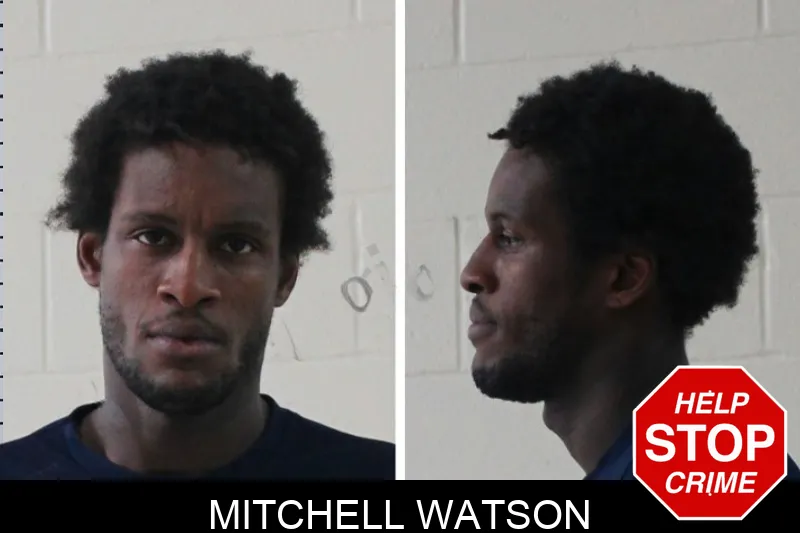 Mitchell Watson mugshot