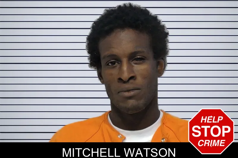 Mitchell Watson mugshot