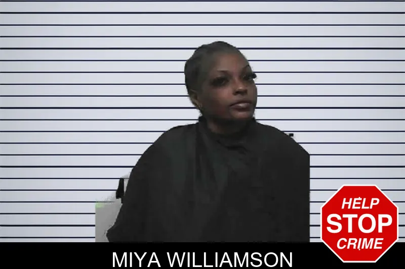 Miya Williamson mugshot – Pike County , Georgia Miya Williamson mugshot