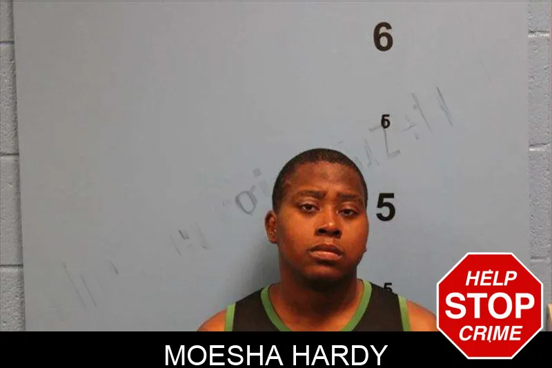 Moesha Hardy mugshot – Monroe County , Georgia Moesha Hardy mugshot