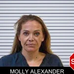 Molly Alexander mugshot – Polk County , Georgia Molly Alexander mugshot