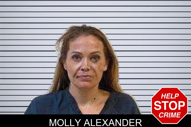 Molly Alexander mugshot – Polk County , Georgia Molly Alexander mugshot