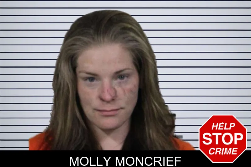 Molly Moncrief mugshot – Lamar County , Georgia Molly Moncrief mugshot