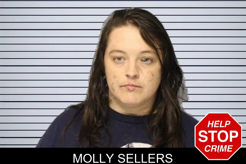 Molly Sellers mugshot