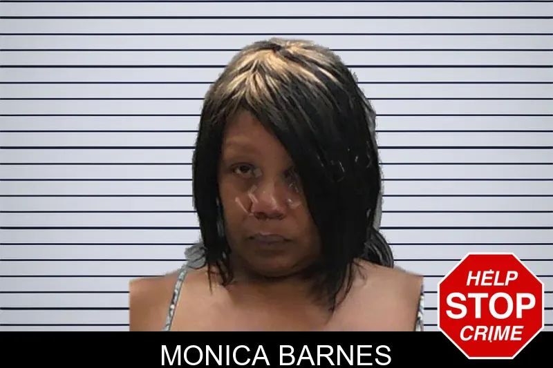 Monica Barnes mugshot