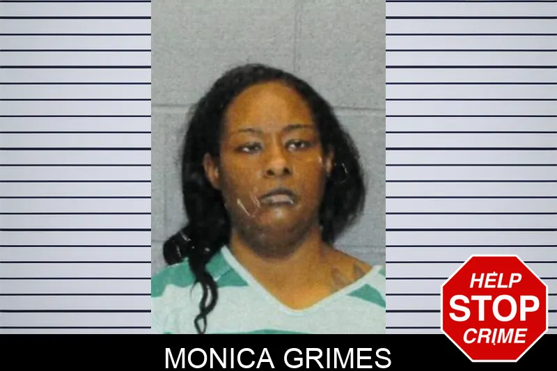 Monica Grimes mugshot