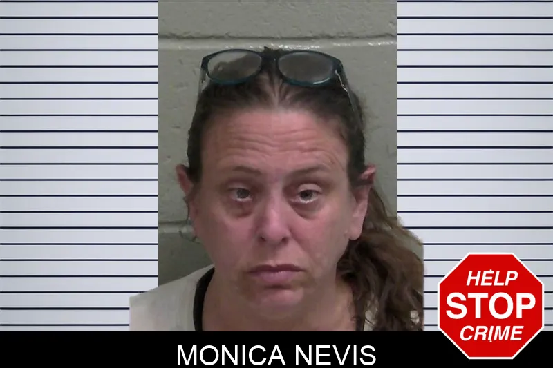 Monica Nevis mugshot – Wayne County , Georgia Monica Nevis mugshot