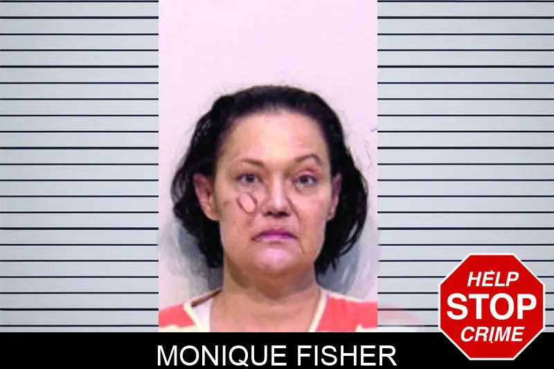Monique Fisher mugshot