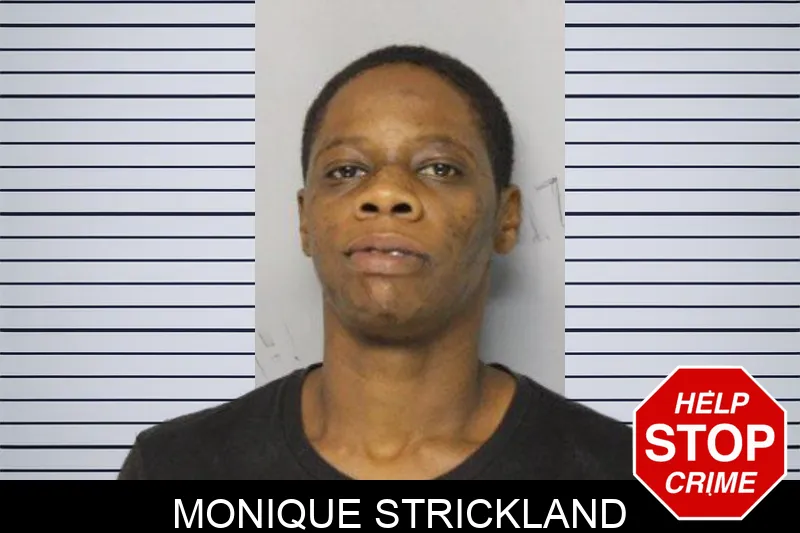 Monique Strickland mugshot – Hall County , Georgia Monique Strickland mugshot