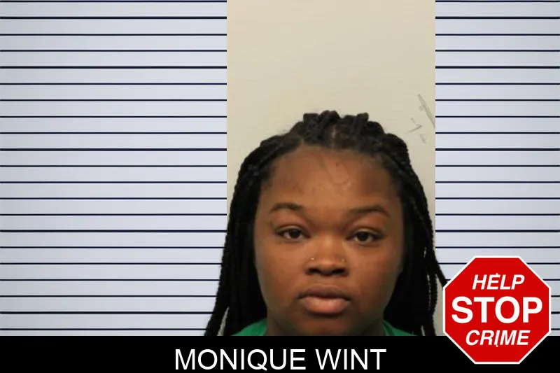 Monique Wint mugshot – Chatham County , Georgia Monique Wint mugshot