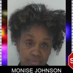 Monise Johnson mugshot